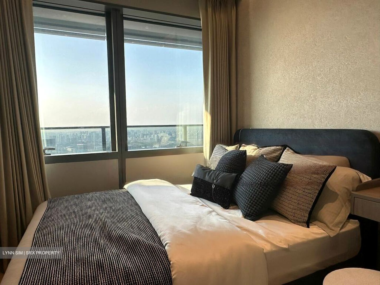 Wallich Street (D2), Condominium #453567271